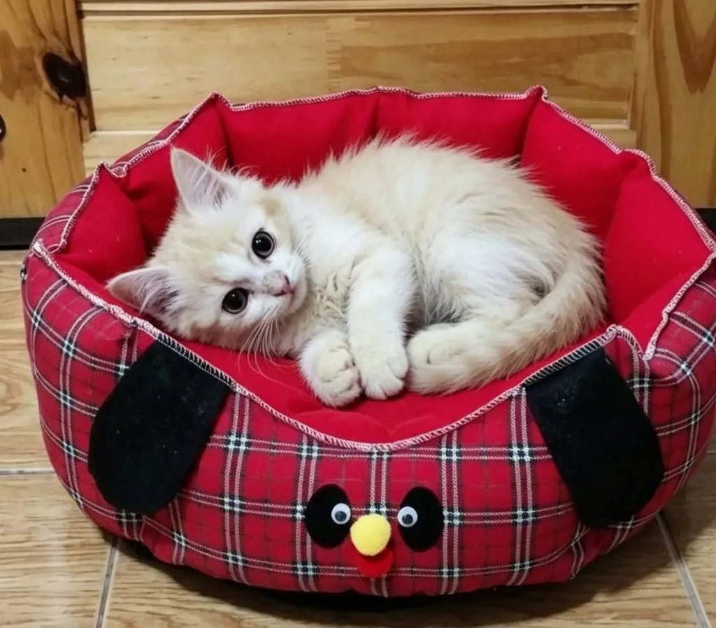 เปอร์เซีย