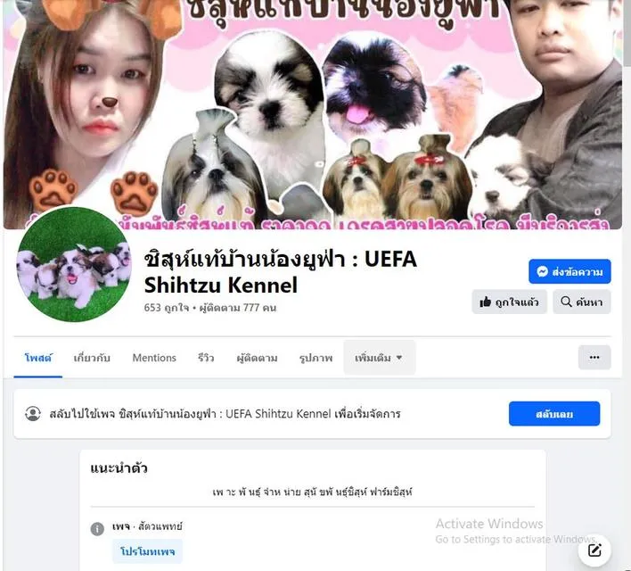 เปิดจองเเค่ 900 ปอมผสมชิสุห์ ไซส์มินิ ชายล้วน รับได้ สิ้นเดือน กค.นี้