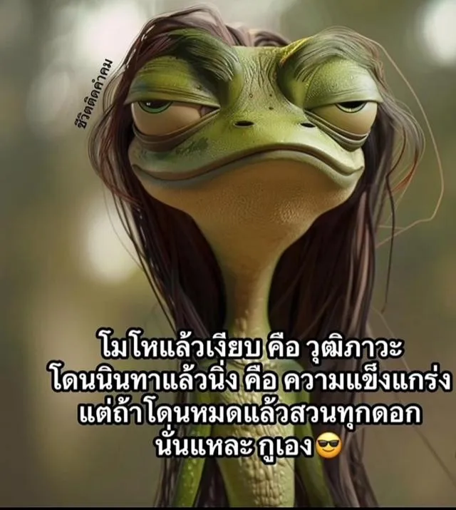 น้องแมวสก๊อตติสหูพับเพศผุ้