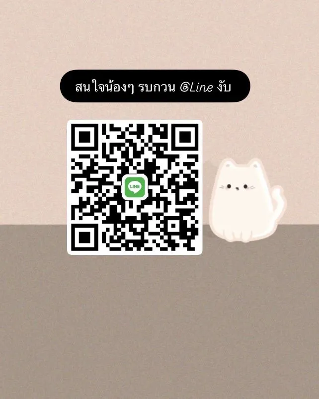 ลูกแมว Scottish Fold