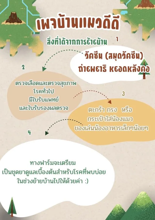 แมวมันช์กิ้นขาสั้น พร้อมย้ายวัคซีนแล้วทุกคน