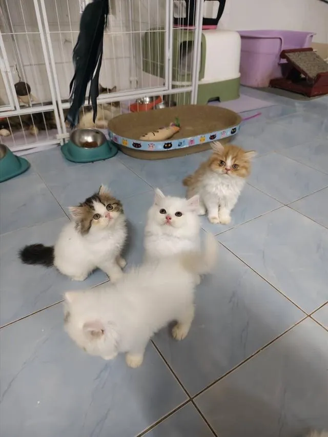 หนุ่มน้อยรอผู้ใหญ่ใจดีพร้อมรายงานตัวแล้วงับ🥰💕