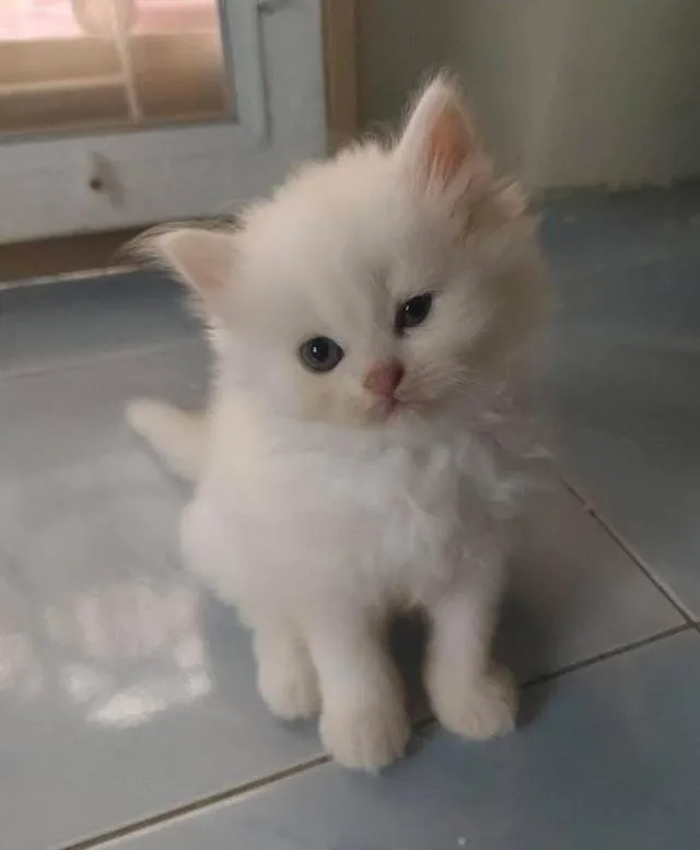 หนุ่มน้อยรอผู้ใหญ่ใจดีพร้อมรายงานตัวแล้วงับ🥰💕
