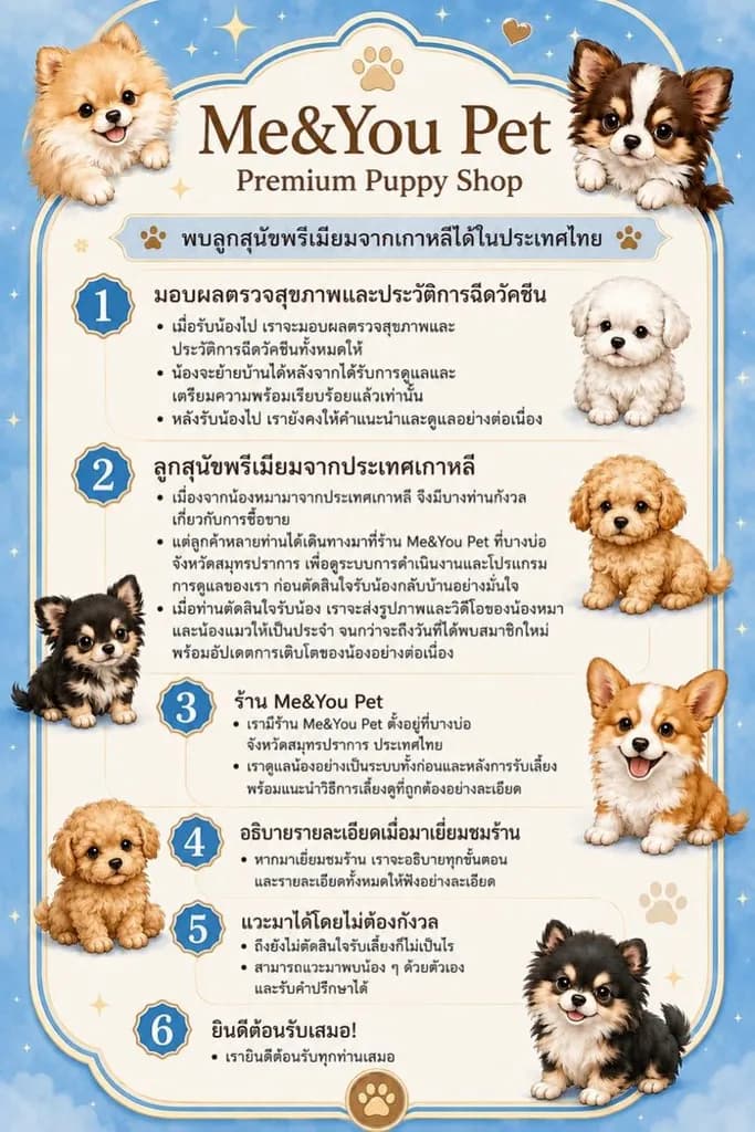 สุนัขพันธุ์ที่ฮิตมากในเกาหลี