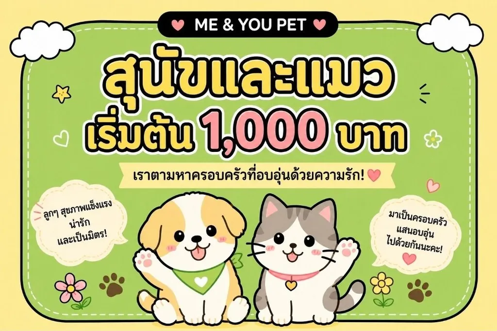 ลูกแมว