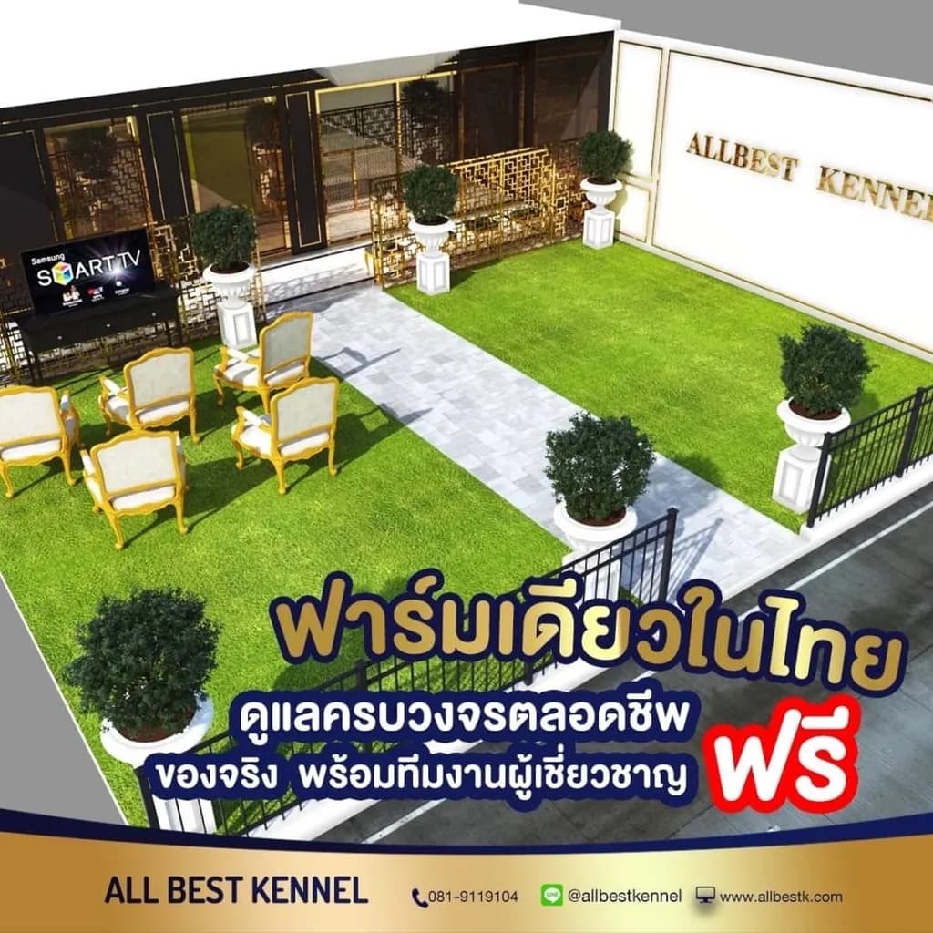 ไซบีเรียนคัดเกรดคุณภาพ จากฟาร์มไซบีเรียนที่ใหญ่ที่สุดในไทย Allbestkennel