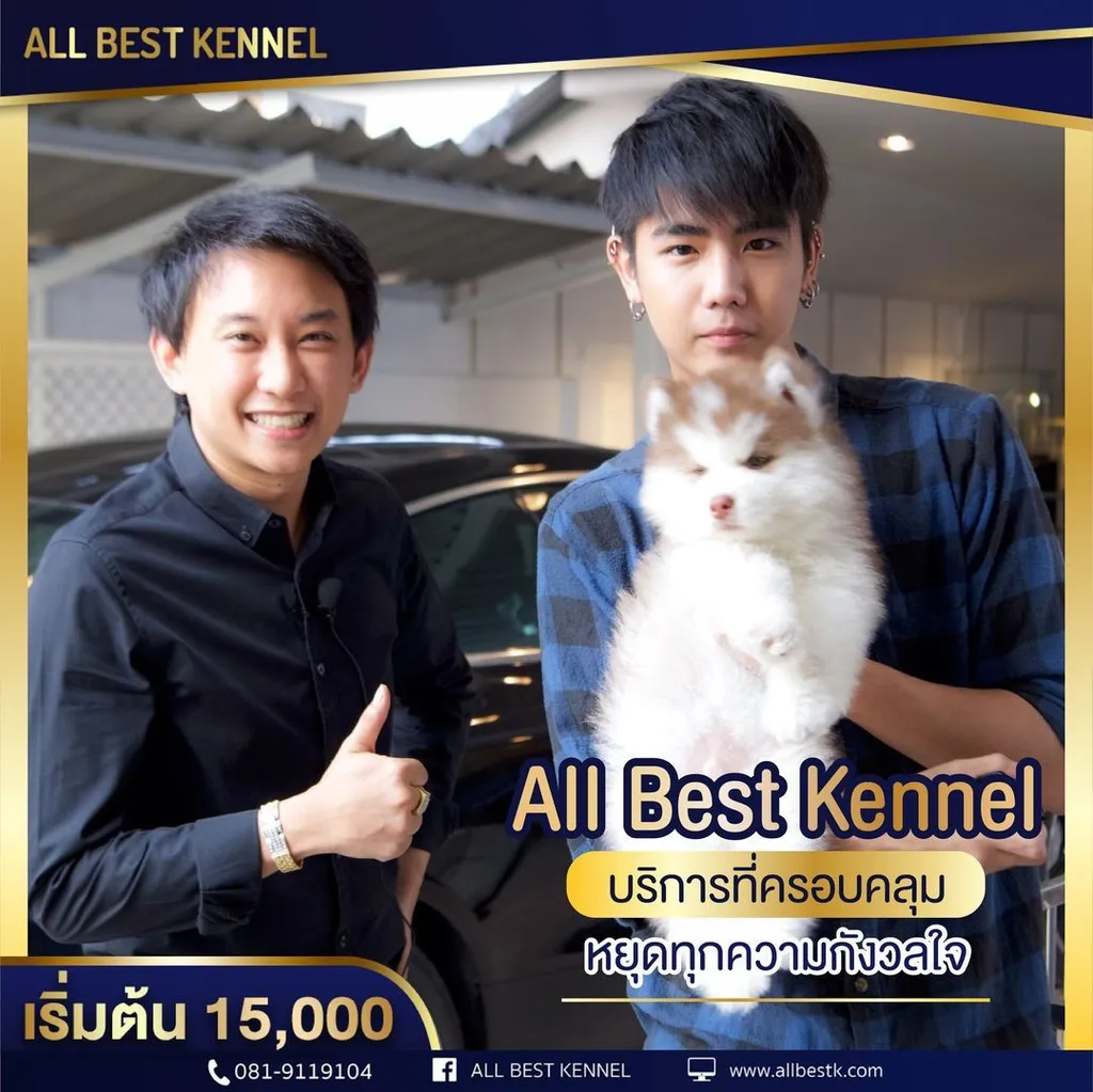 ไซบีเรียนคัดเกรดคุณภาพ จากฟาร์มไซบีเรียนที่ใหญ่ที่สุดในไทย Allbestkennel