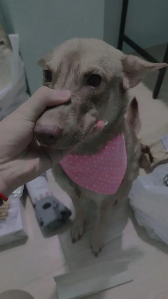 หาบ้านไห้น้องๆฟรี ขอขัดบ้านพร้อมเลี้ยงรักน้องๆ