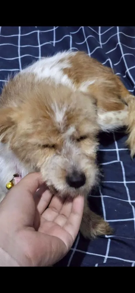 หาบ้านไห้น้องๆฟรี ขอขัดบ้านพร้อมเลี้ยงรักน้องๆ