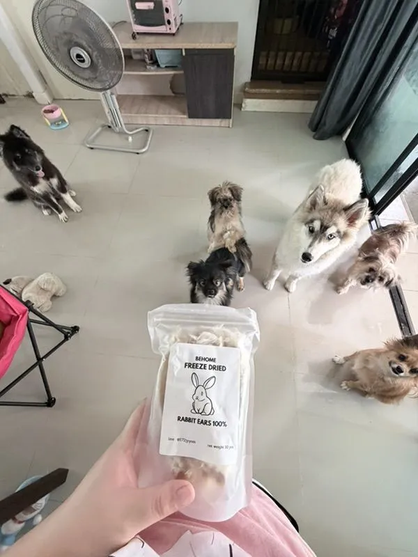 ขายสุนัขทุกตัวในรูปค่ะ