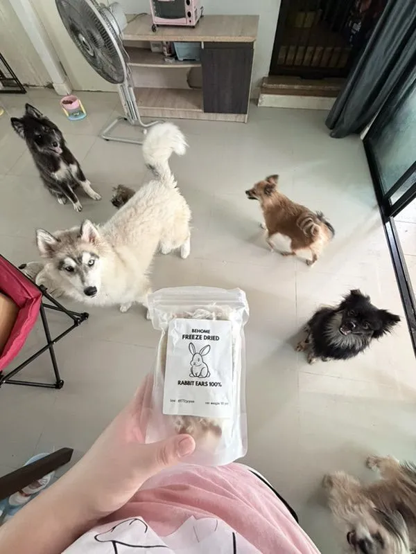 ขายสุนัขทุกตัวในรูปค่ะ