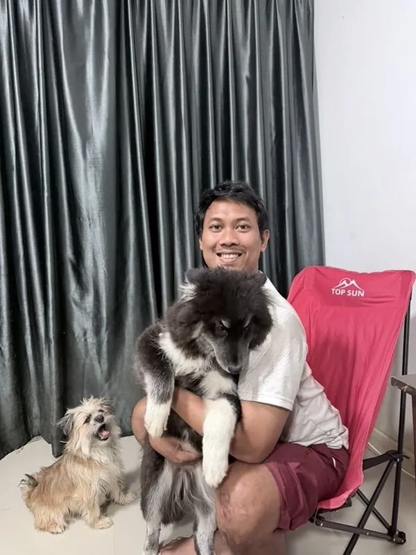 ขายสุนัขทุกตัวในรูปค่ะ