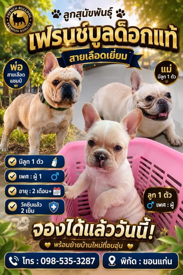 สุนัขพันธุ์เฟรนบลูด็อก