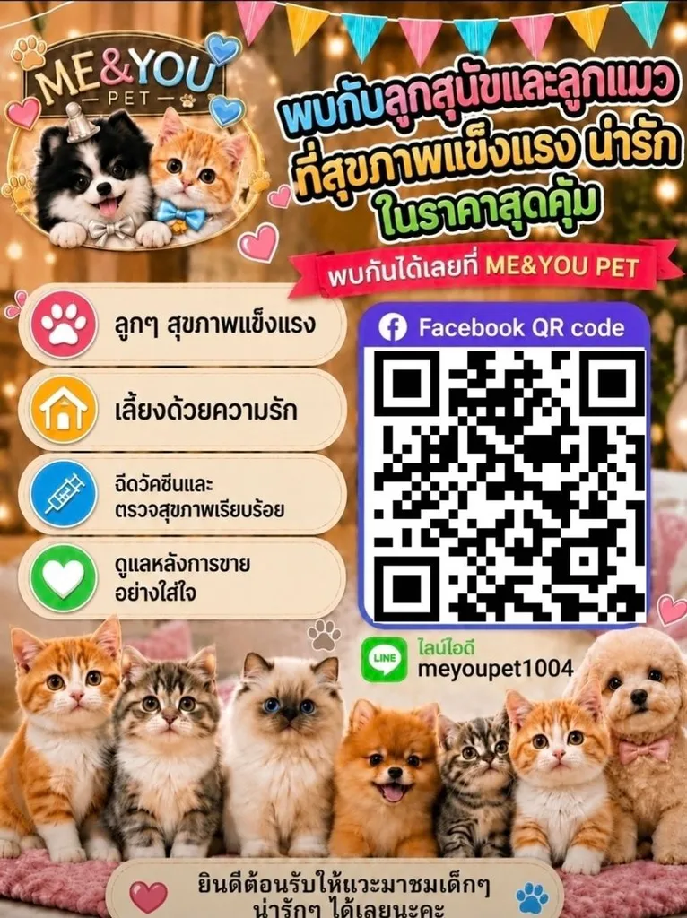 แร็กดอลล์ (Ragdoll)