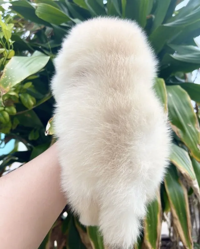 ปอมแท้