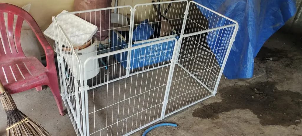 หาบ้านให้น้องทั้งคู่ครับ 3,500 แถมกงให้ 2 อันครับ น้องอายุปีครึ่งทั้งคู่ เคยมีลูกมา 1 ครั้ง สนใจโทรมาสอบถามรายละเอียดได้ครับ 0639619408 นิว