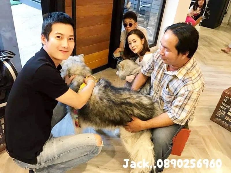 รับจับสุนัขผสมพันธุ์ทุกสายพันธุ์ +1000