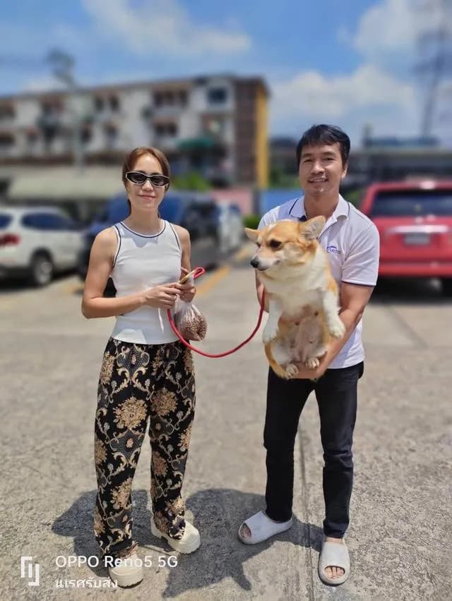 🐶 #บริการรับส่งสุนัขและแมวเท่านั้นทั่วไทยมีรถทุกวัน 📲 0867441143 นเรศ ID LINE : 0867441143 รับลงเครื่องส่งอยู่ต่างจังหวัดเดินทางด้วยรถไฟฟ้าแยกบล็อค