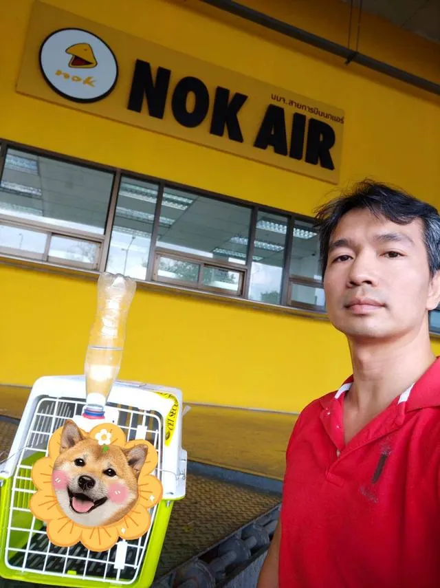 🐶 #บริการรับส่งสุนัขและแมวเท่านั้นทั่วไทยมีรถทุกวัน 📲 0867441143 นเรศ ID LINE : 0867441143 รับลงเครื่องส่งอยู่ต่างจังหวัดเดินทางด้วยรถไฟฟ้าแยกบล็อค