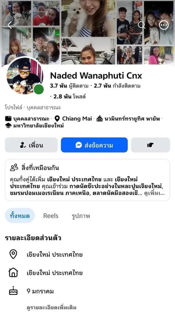 ขายแม่พันธุ์ คอร์กี้ และ บีเกิ้ล