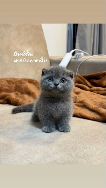 มันช์กิ้น