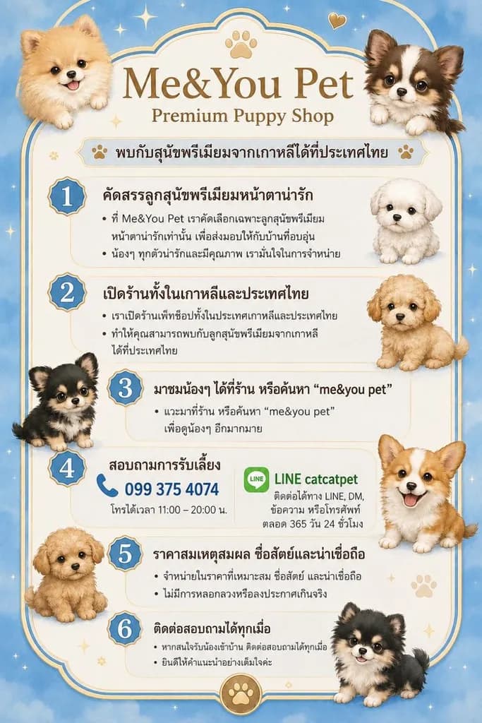 สุนัขพันธุ์ที่ฮิตมากในเกาหลี