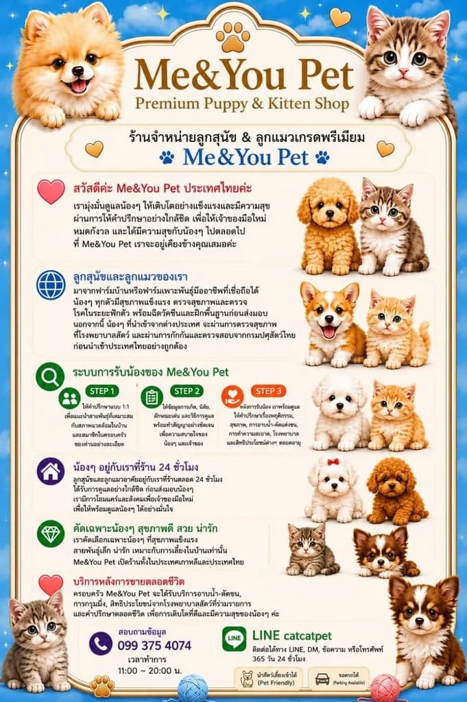 สุนัขพันธุ์ที่ฮิตมากในเกาหลี