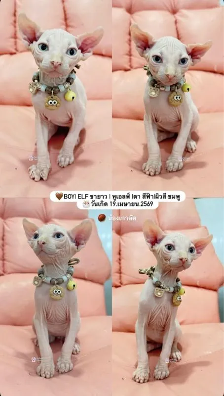สฟิงซ์