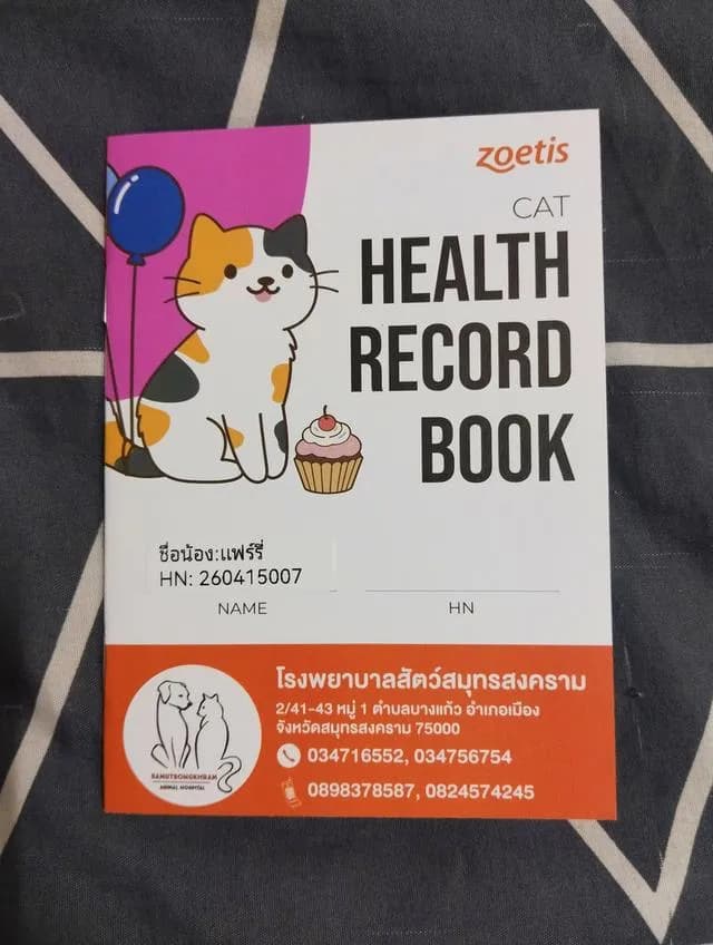 ล😺ลูกแมวเปอร์เซีย เพศหญิง😺🎂อายุ2เดือน