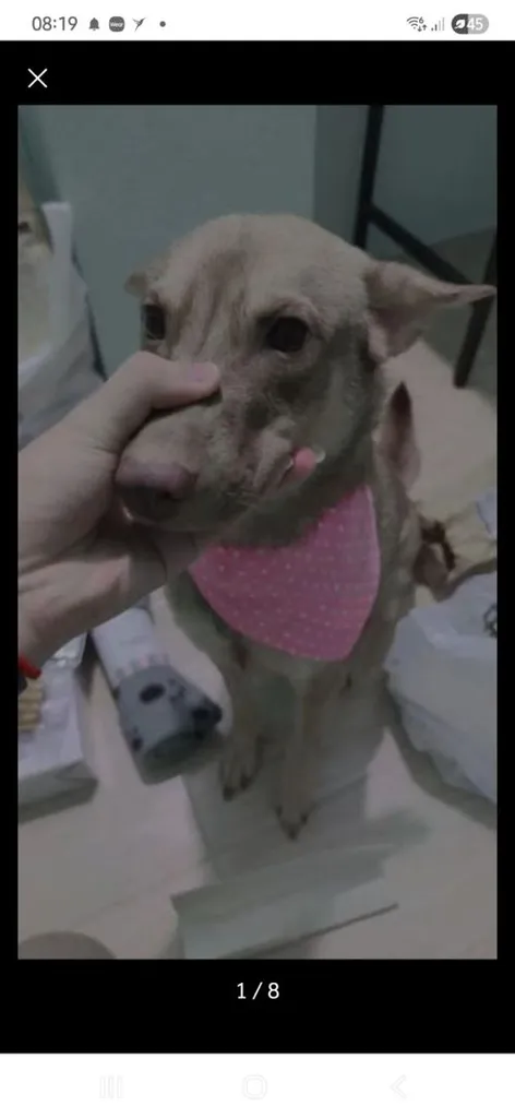 หาบ้านให้น้องๆฟรี ขอขัดบ้านพร้อมเลี้ยง รักน้องๆ