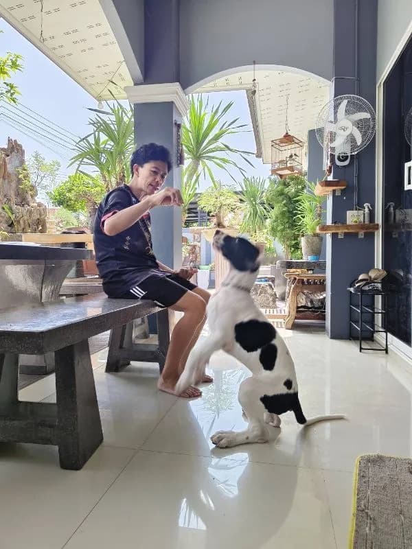 #เกรดเดน ยักษ์ใหญ่ใจดี